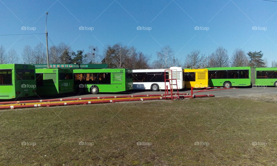 park of buses