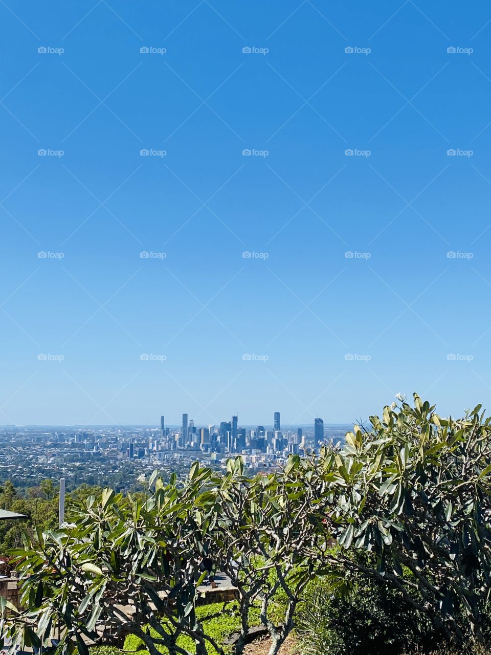 Watching over Brisbane