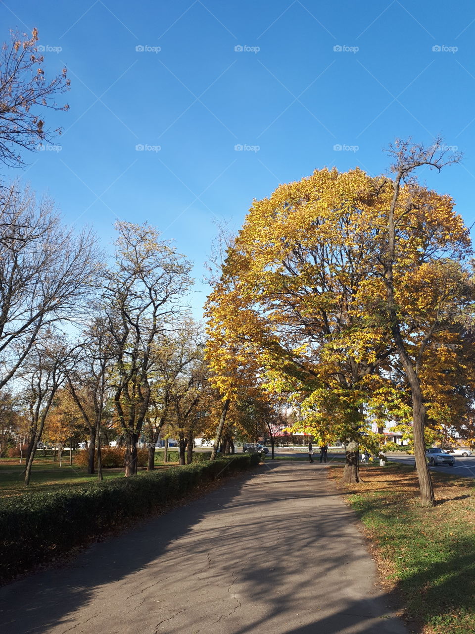 Sunny autumn day