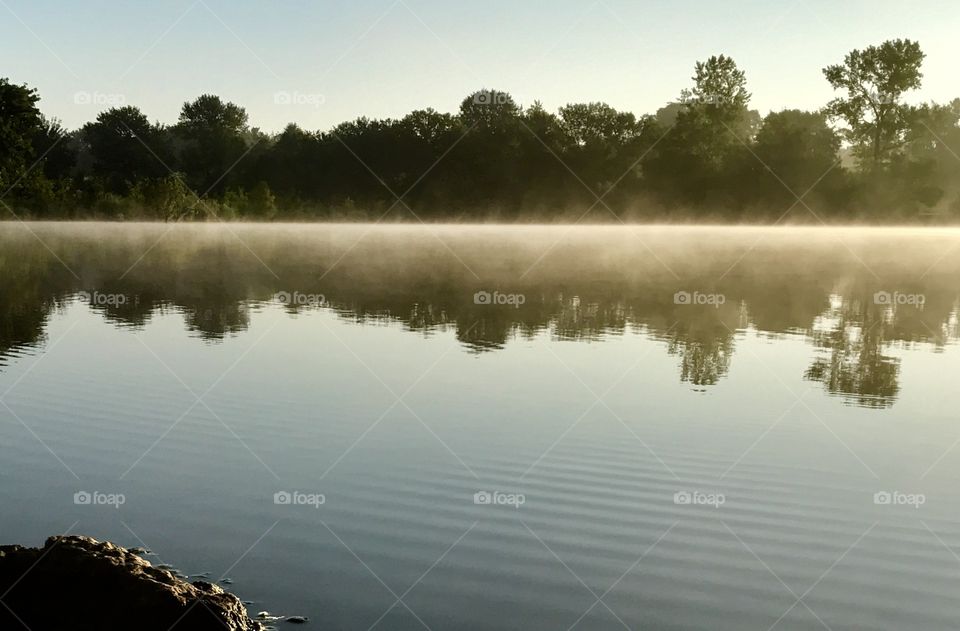 Morning Fog, Lakeside