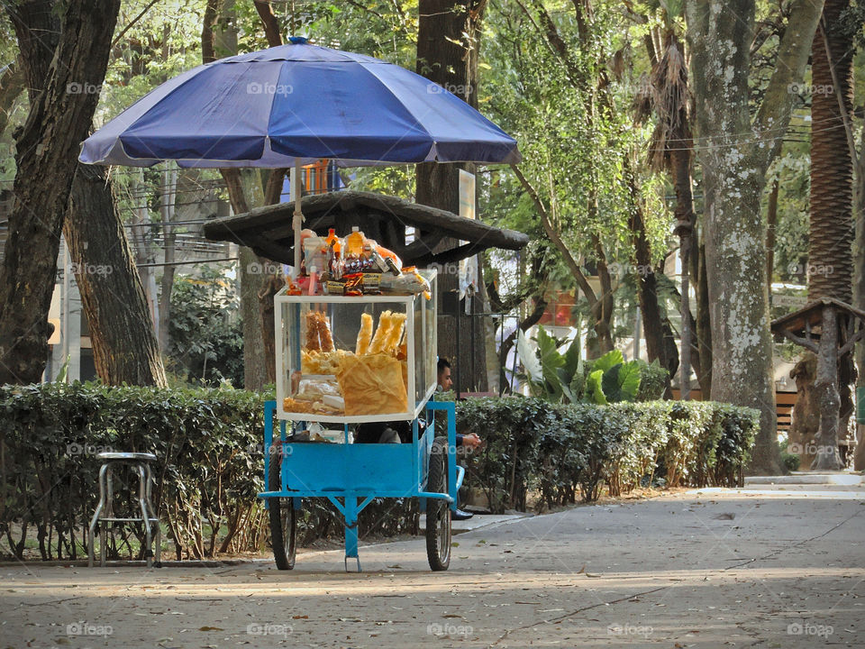 Man and food cart with mexican snacks in "Parque Mexico", Mexico City, Mexico