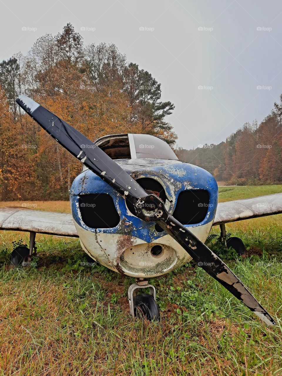 abandoned plane propeller