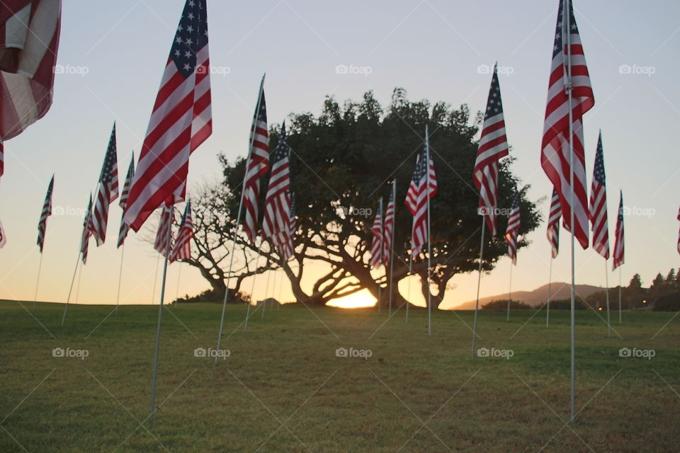 Sunset and flags
