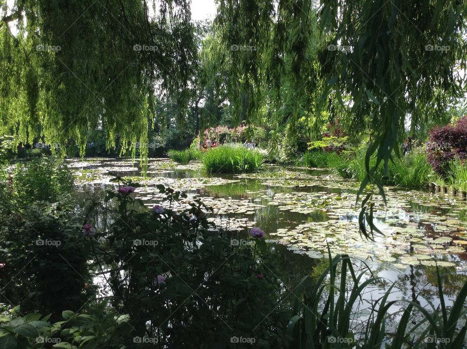 Giverny. Monet's Garden France