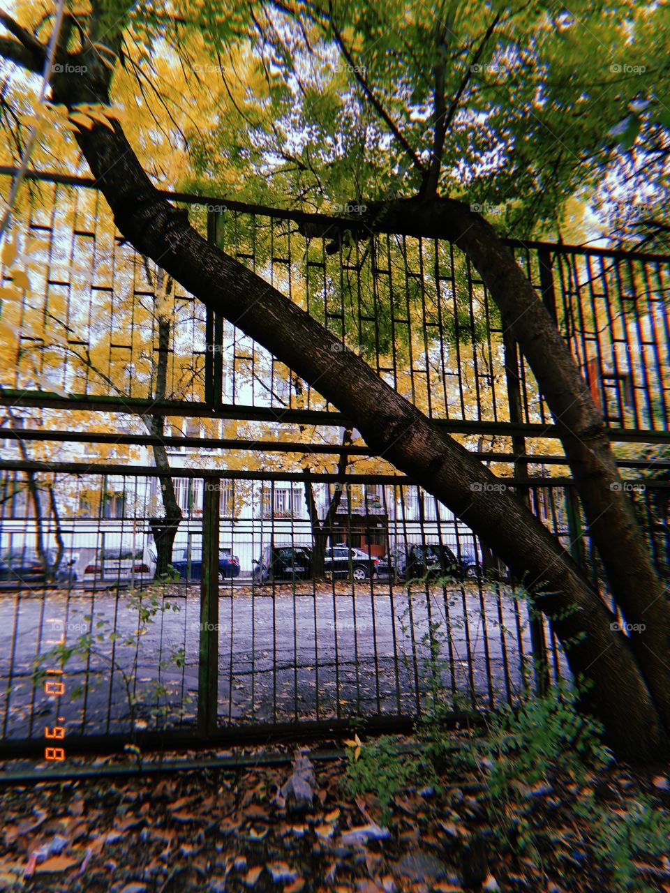 Nature vs civilization