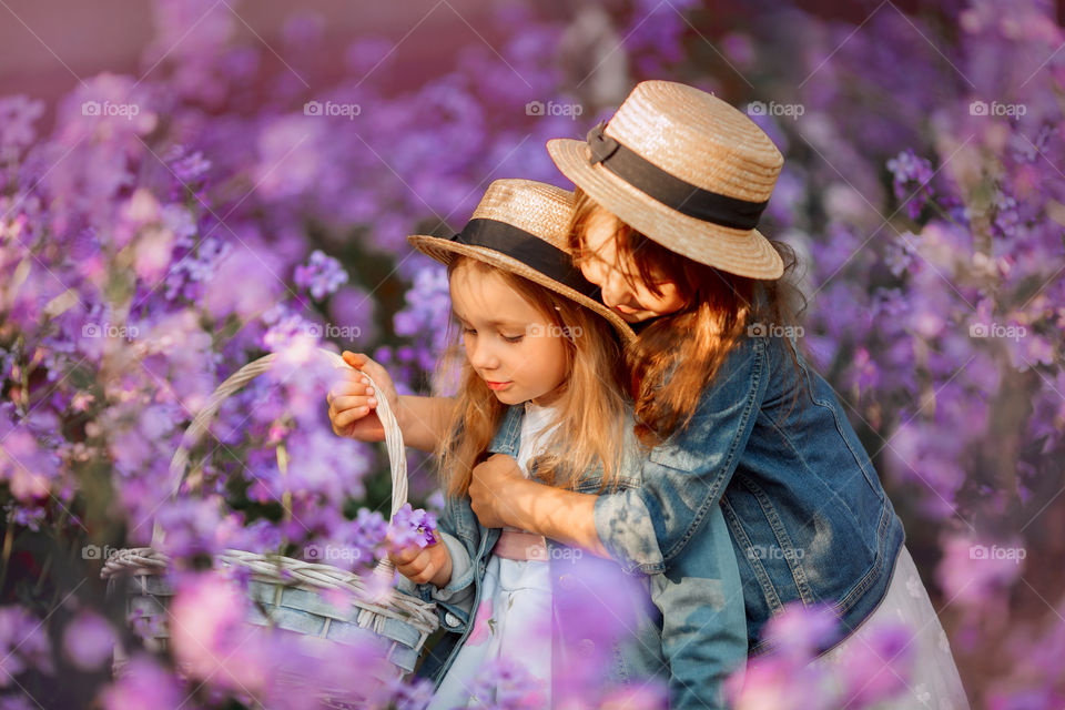 Little sisters in a blossom meadow at sunset 