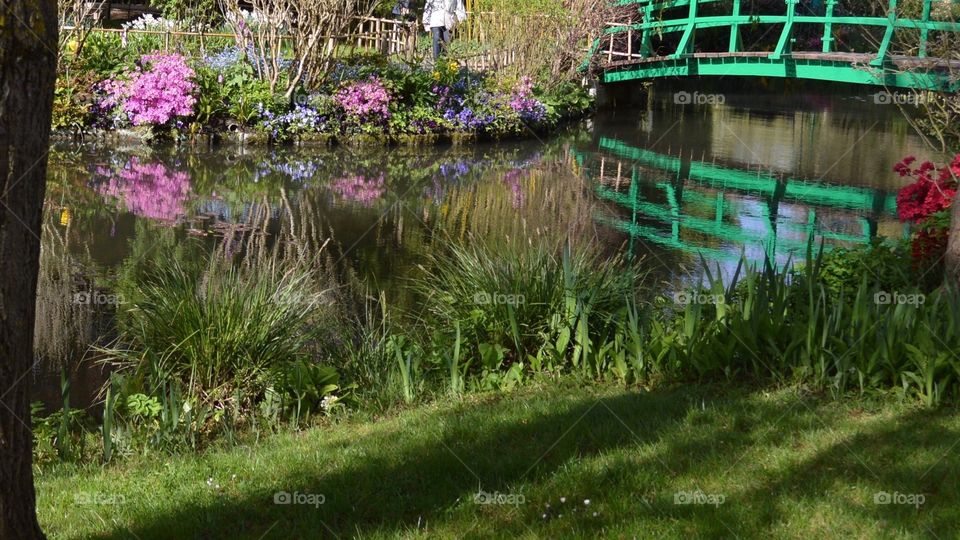 Reflections of Giverny 