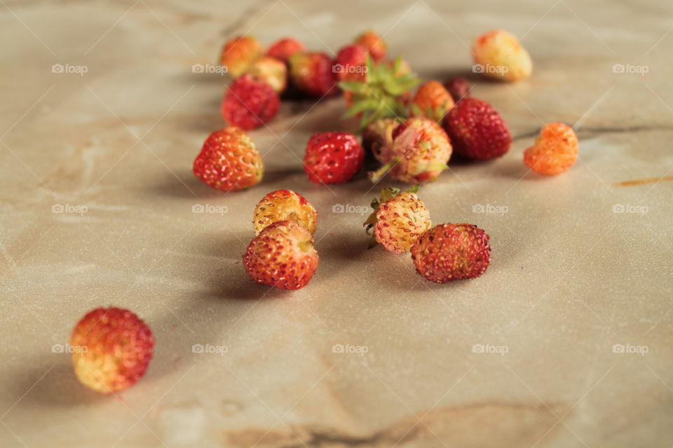 Lingonberries, strawberries, berries, fresh berries, a carpet of berries, dried berries, a branch, on a bush,