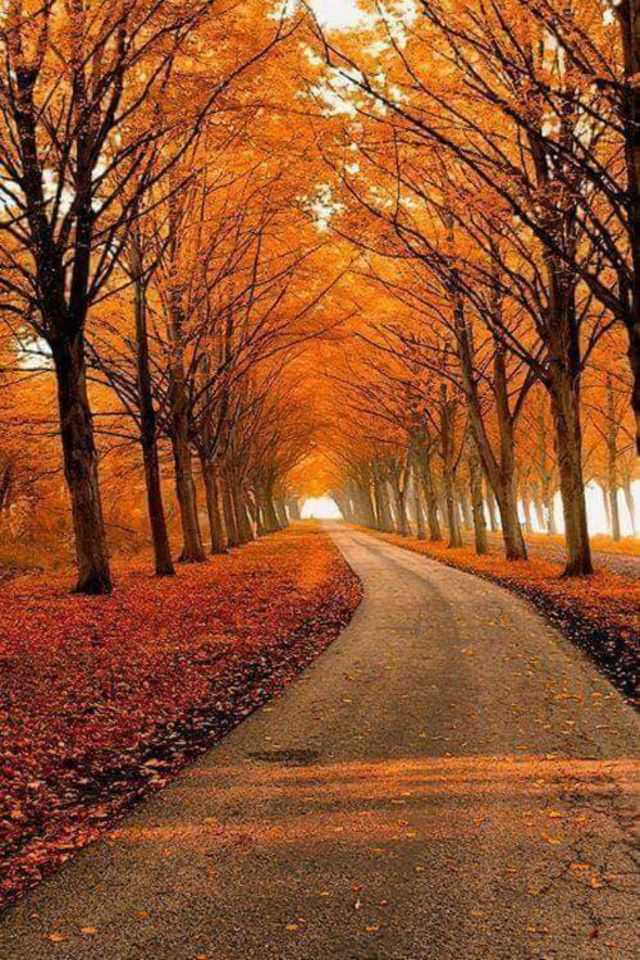 nature