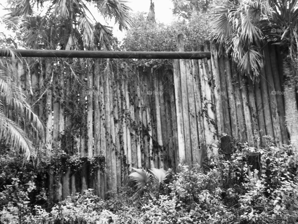 Abandoned Jungleland Zoo