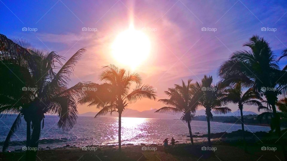 Peoples standing on beach during sunset