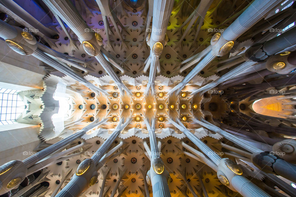 Sagrada Famíia. Looking upwards inside Gaudi's Sagrada Família in Barcelona, Spain