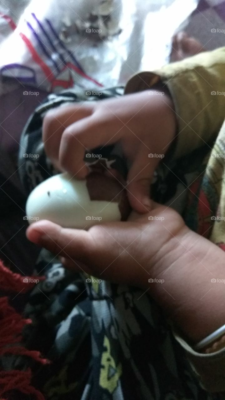 peeling egg