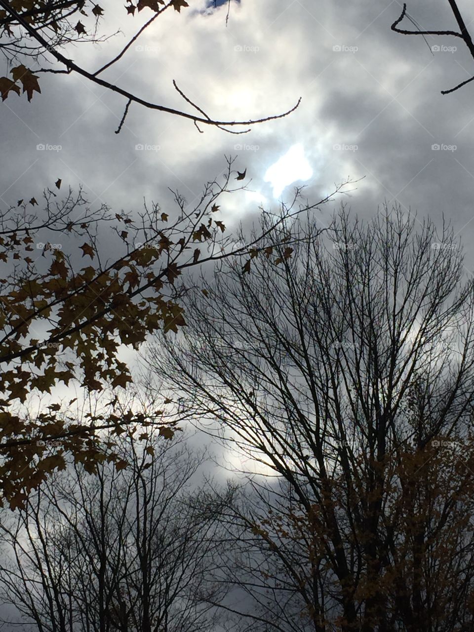 Beautiful Clouds