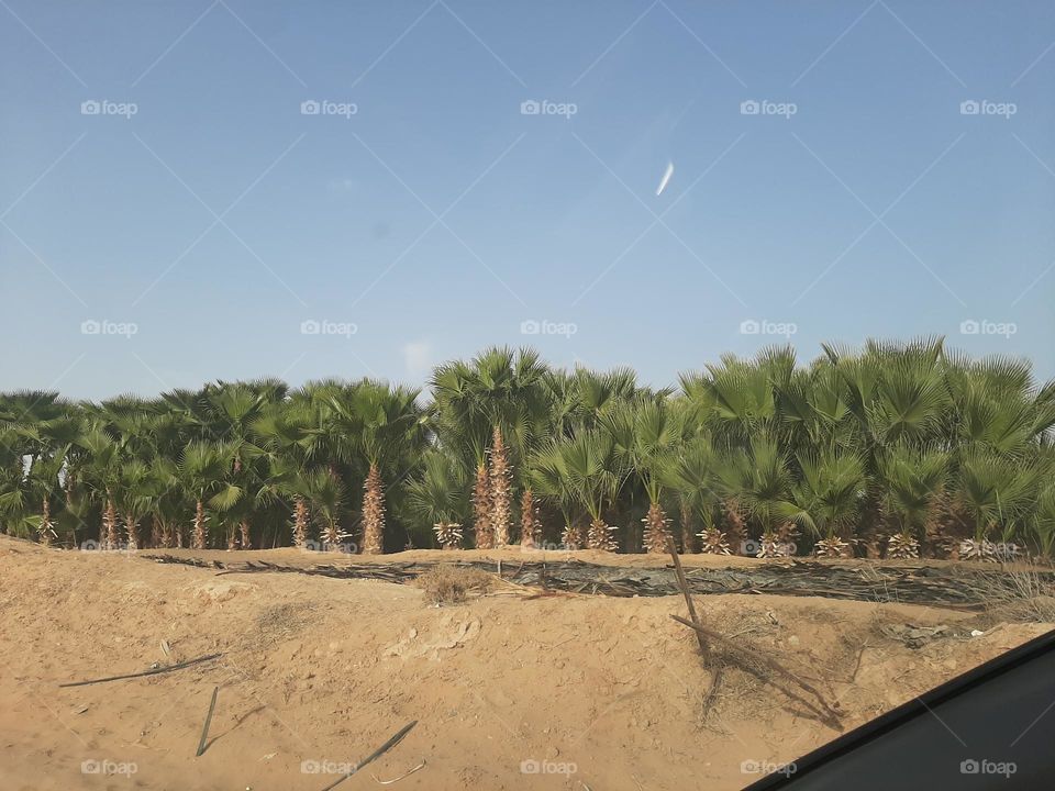 Please make me happy, I am poor, I need your help with support