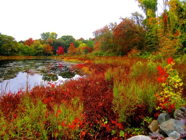 Canton Massachusetts