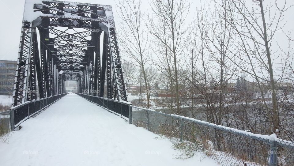Winter, Snow, Cold, Ice, Bridge