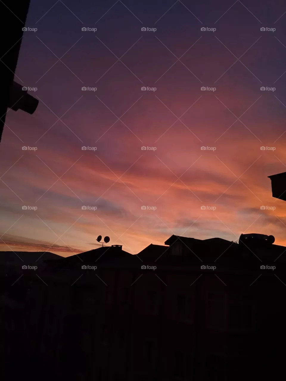 evening landscape