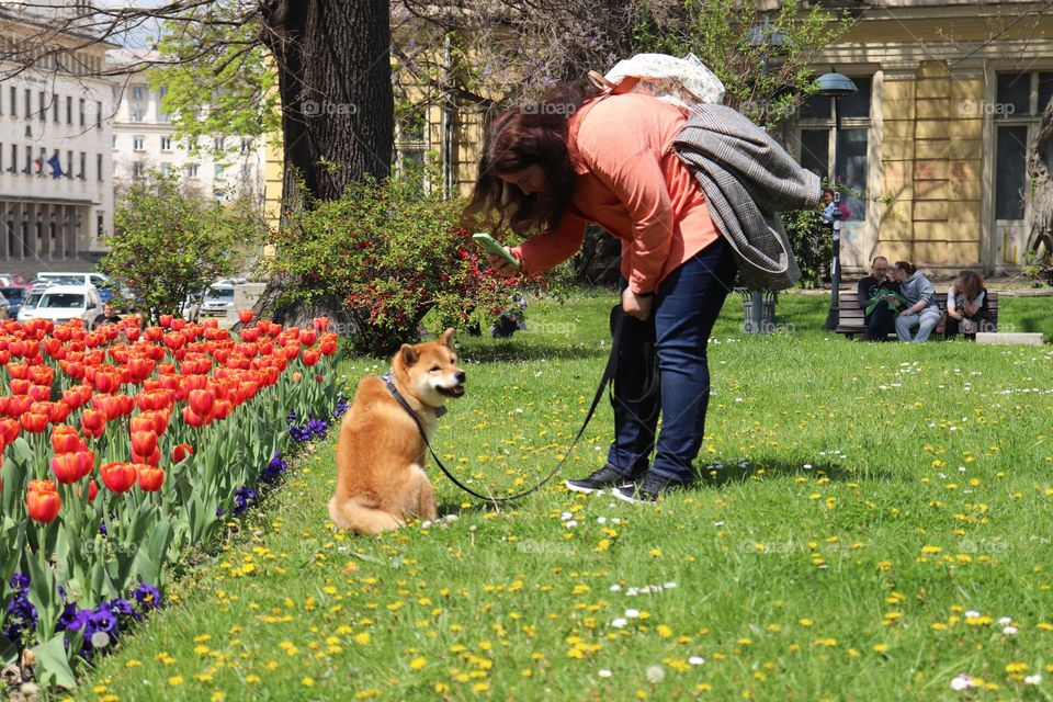 Taking a photo of the dog