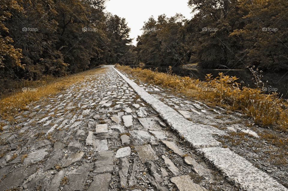 Radian State Park. Cobblestone path to Princeton from Raritan State Park NJ
zazzle.com/Fleetphoto 