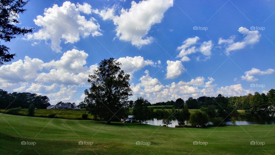 Golf, Tree, Landscape, No Person, Grass