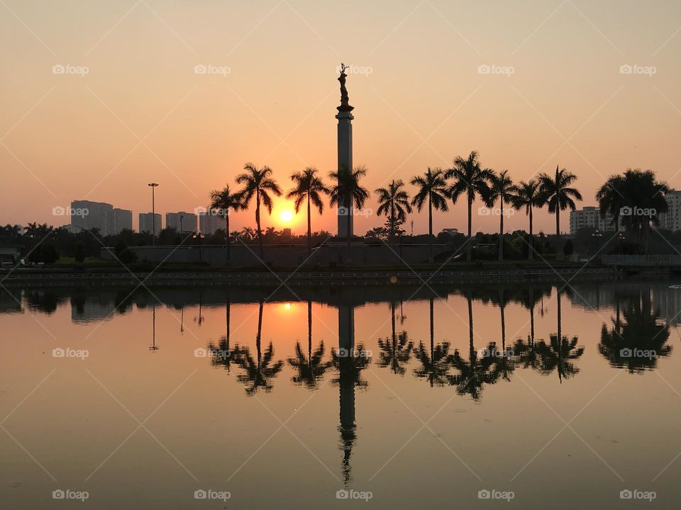 Beautiful reflections of palm trees in the park 