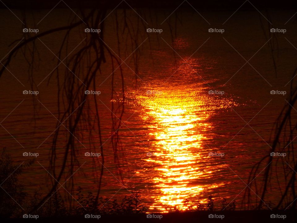 Sunset on the water. 