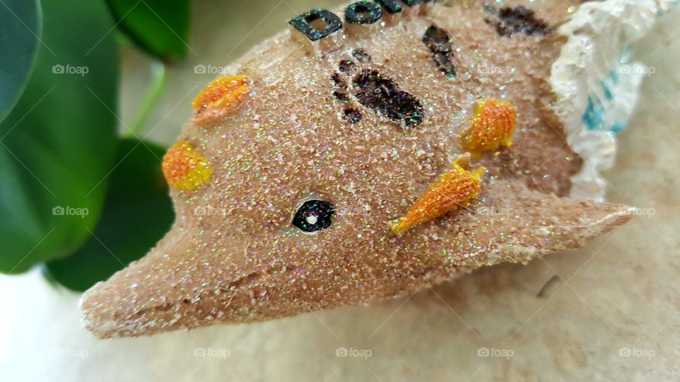 Beautiful macro shots