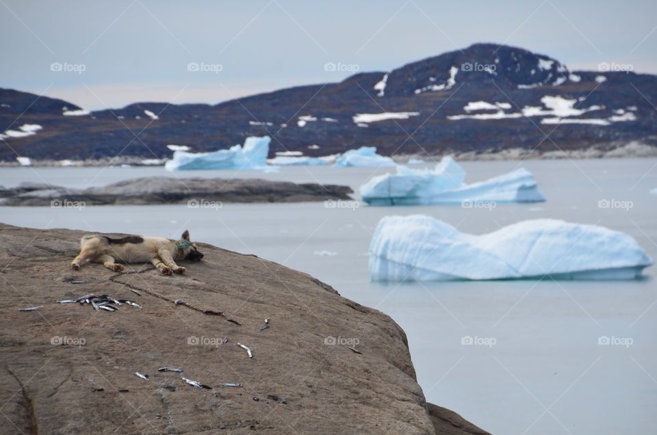 Greenland