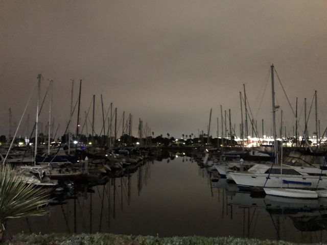 Yachts on yachts, San Diego California. 