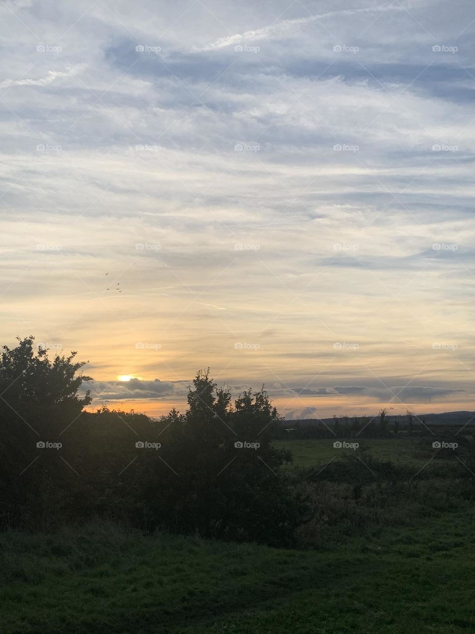 Oldbury Valley in British fall, colour portrait