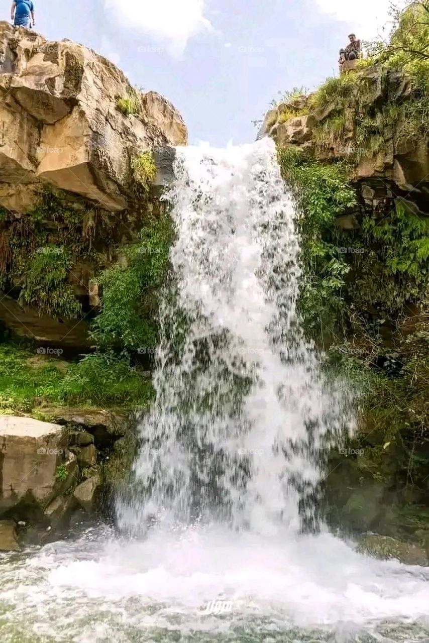A very beautiful picture, and there is no better picture than it. There is no better picture of green herbs and colorful, red and white roses than it. Glory be to God, the natural and picturesque view, and there is no more