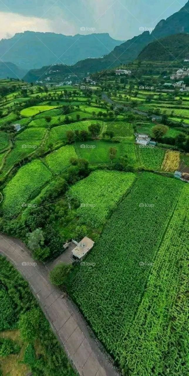 Glory be to God, the magnificent and picturesque view and the natural green trees are a view that is nothing more wonderful than it