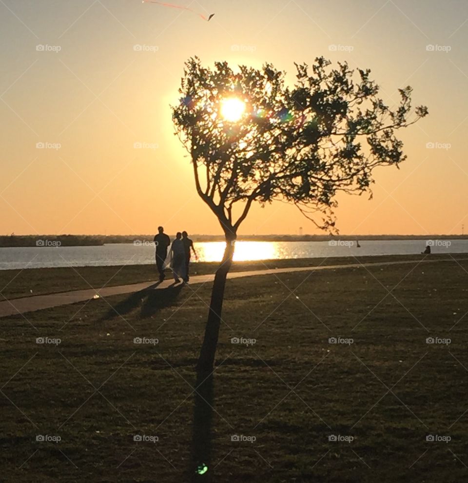 A walk at Sunset