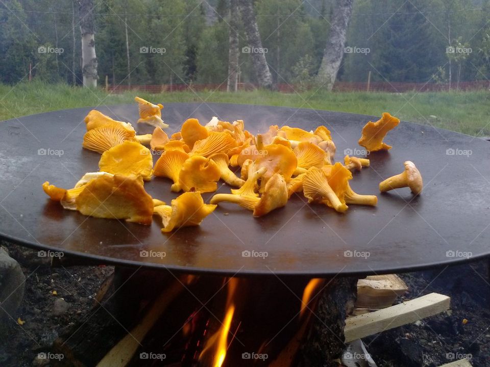 Yellow chanterelle mushrooms