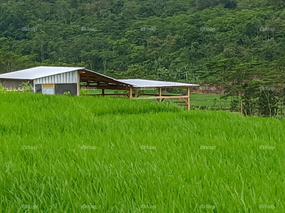 a house in the field