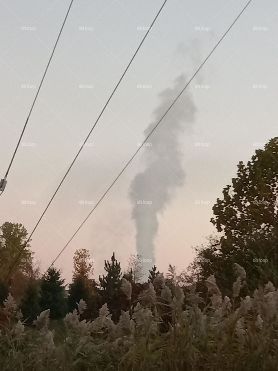 bad for the environment