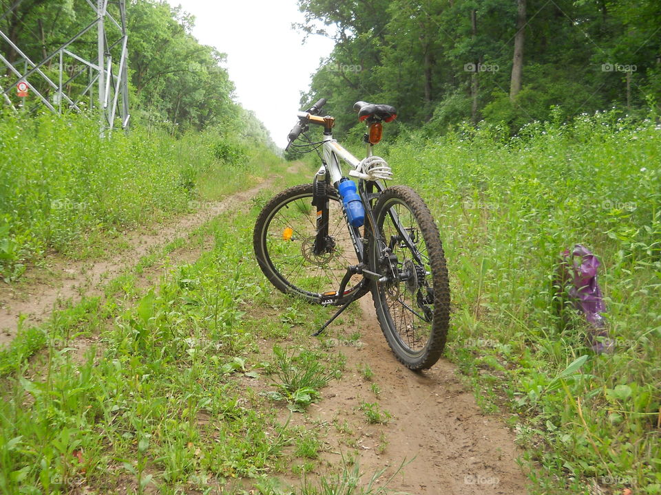 Bike on the path in the woods