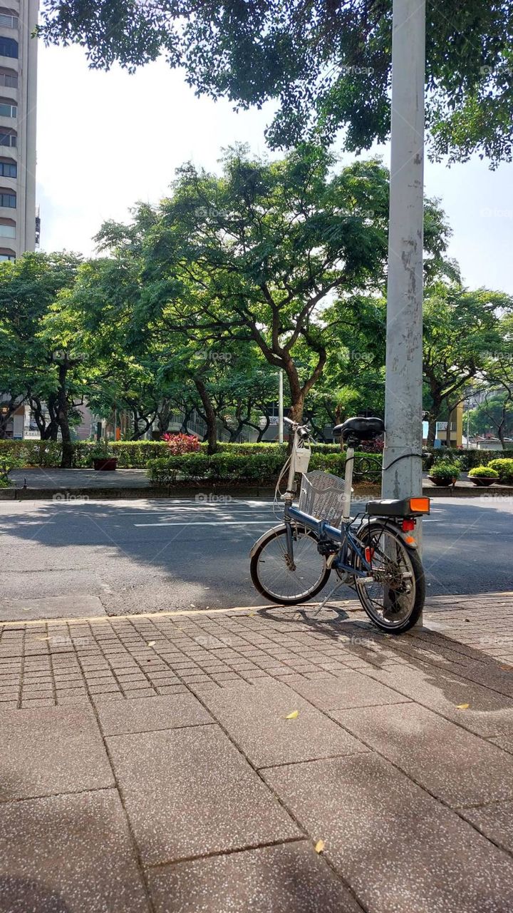 lonely bicycle