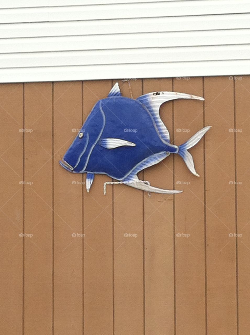 Wood, No Person, Wooden, Board, Desktop