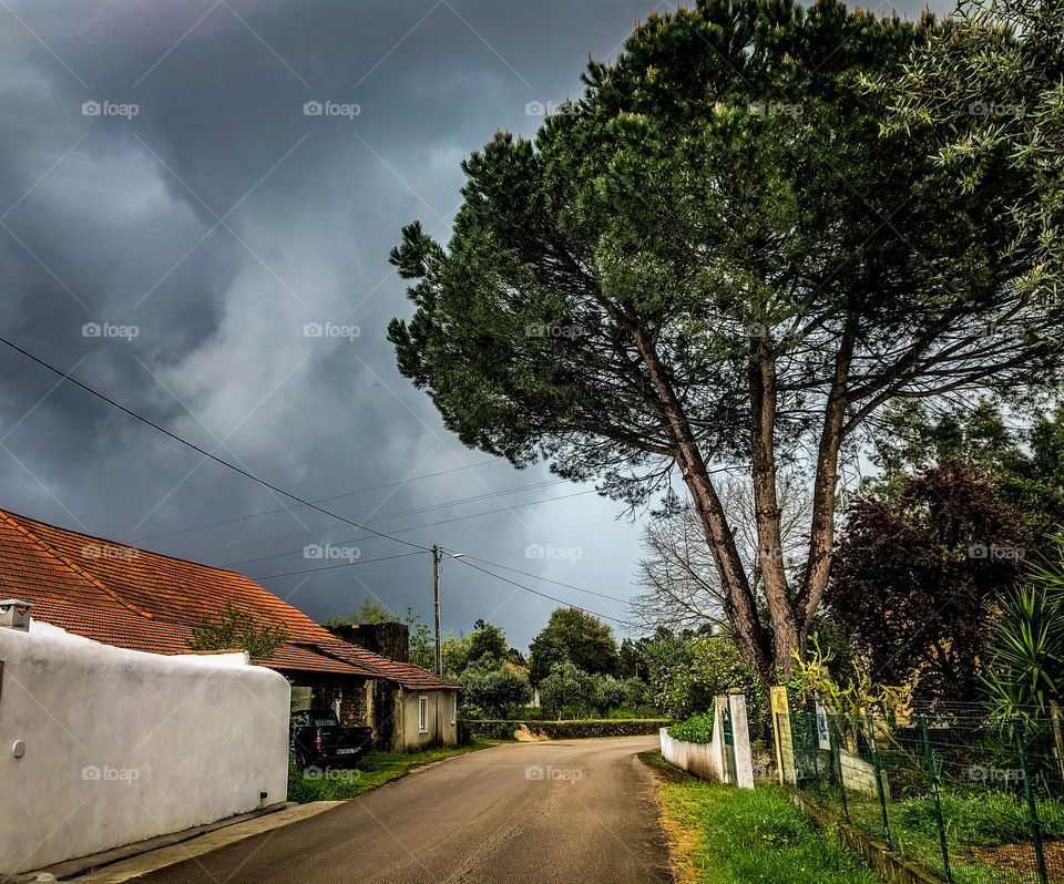 A view down a country road, with a dominant pine tree leading to dark & stormy skies - Portugal - March 2021