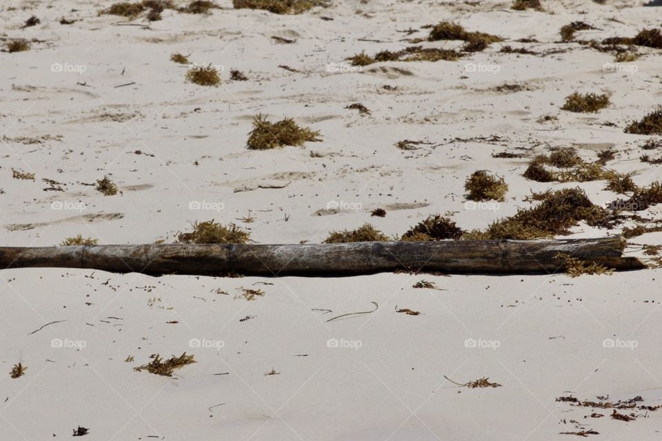 Stick on the sand