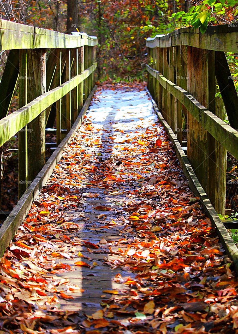 A Bridge from Autumn to Winter
