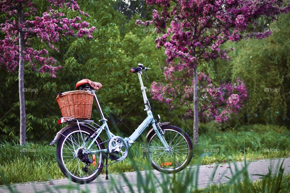 Bicycle in the park 