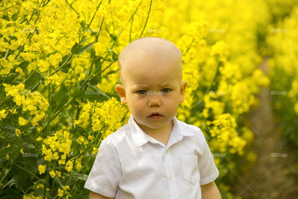 a small, bald boy in a white shirt walks in a yellow field with rapeseed