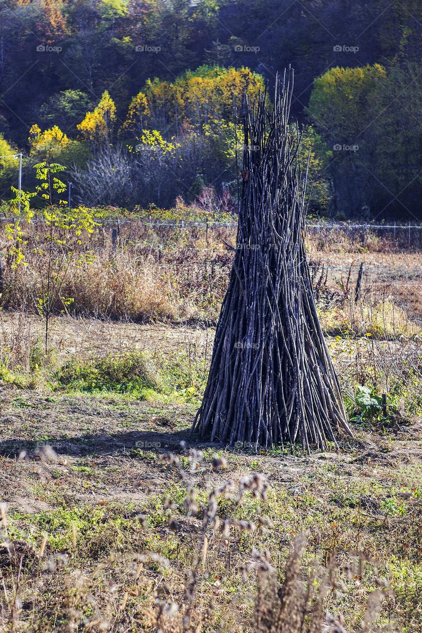 Stacking branches in the field