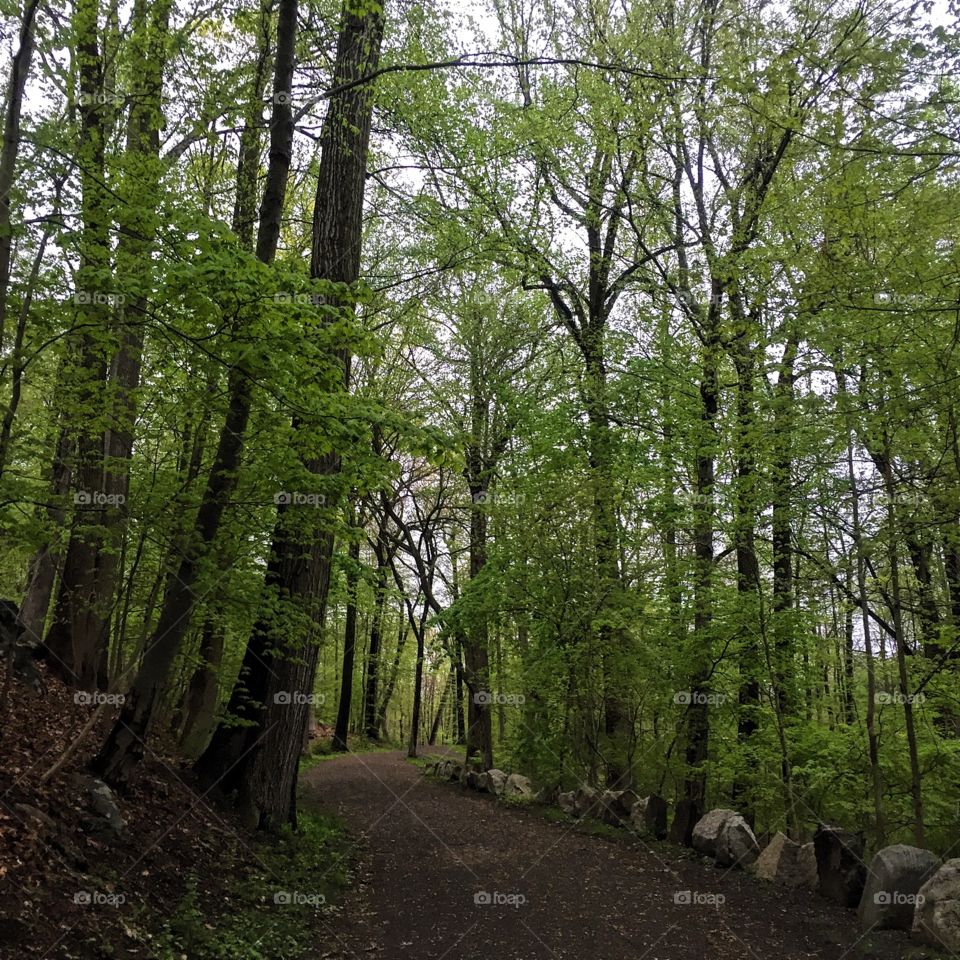 A run through the woods for me always is like hitting the reset button   "The best way out is always through" -- Robert Frost