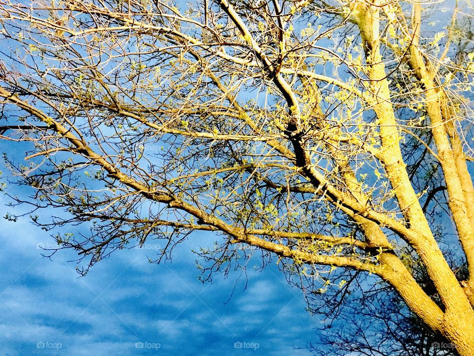 Exploring around beach area in the evening makes for some fun photo opportunities. 