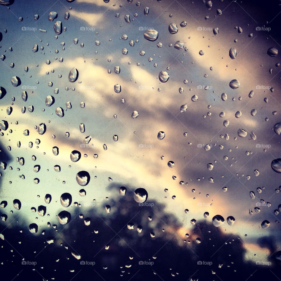 rain droplets