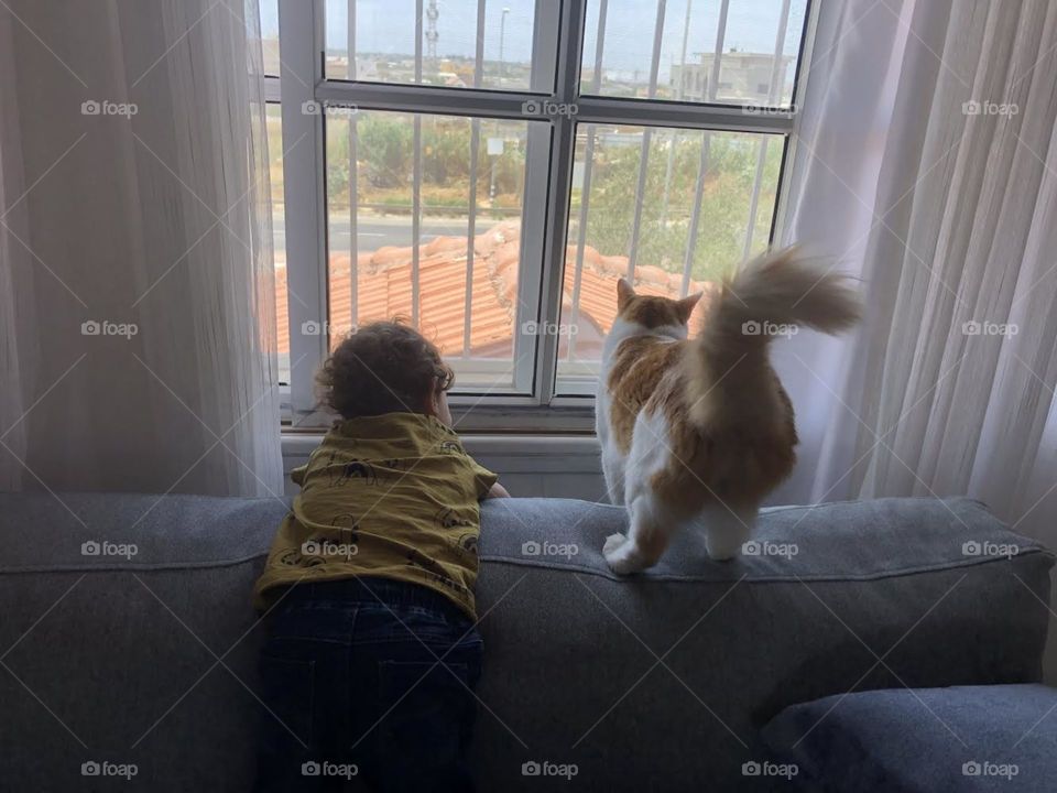A kid with a cat looking through the window